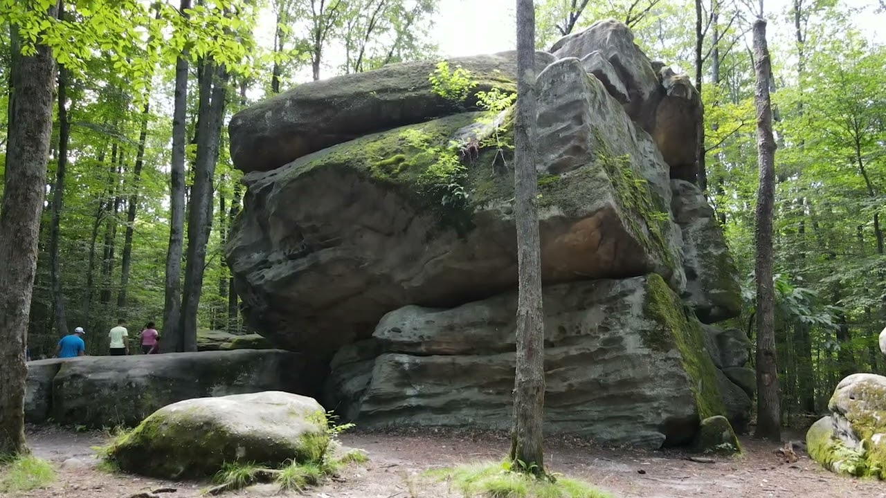 Allegany State Park 4K