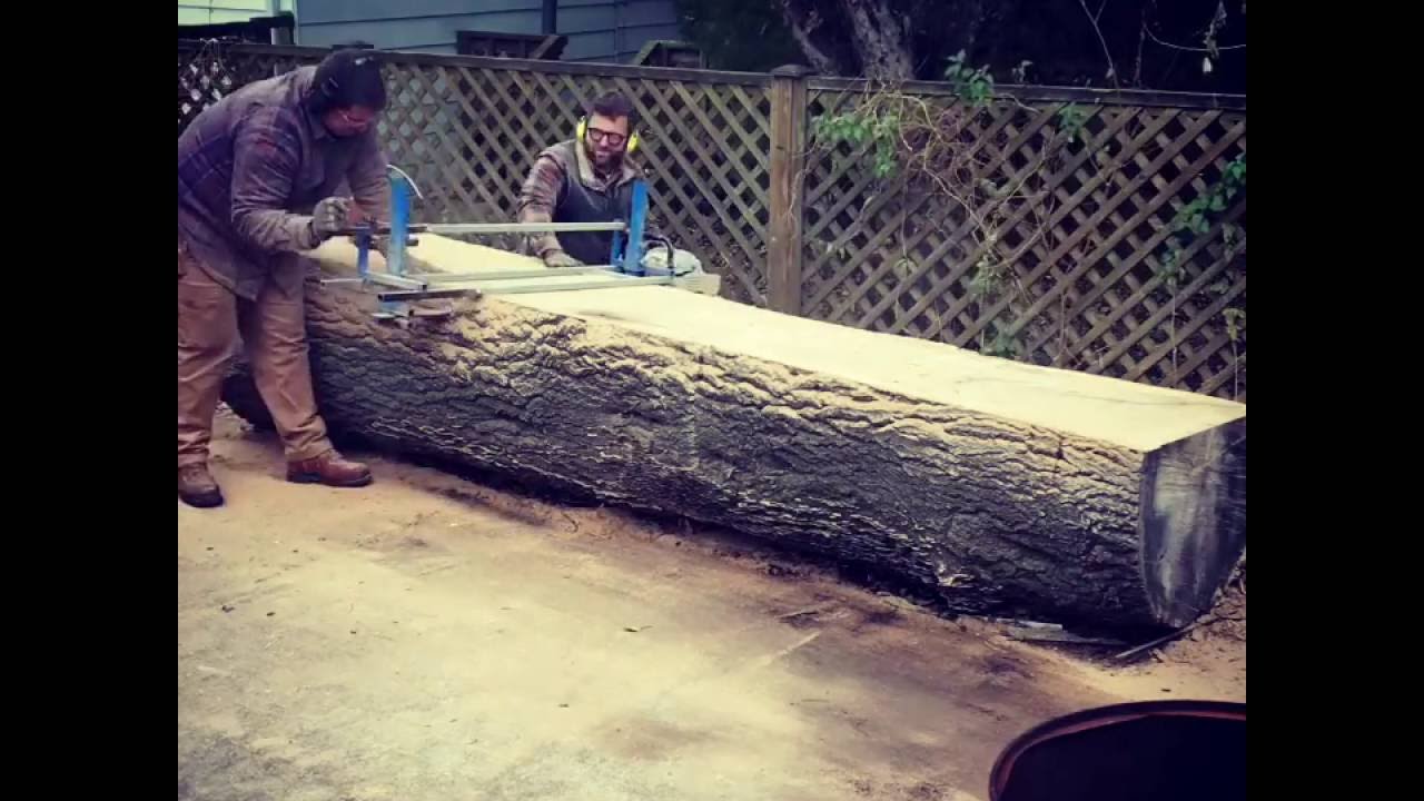 Milling the big oak log