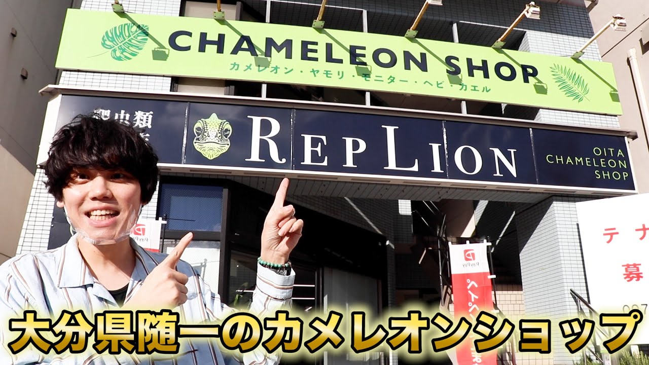 九州にオープンしたカメレオンショップ【レプリオン】が天国すぎた！