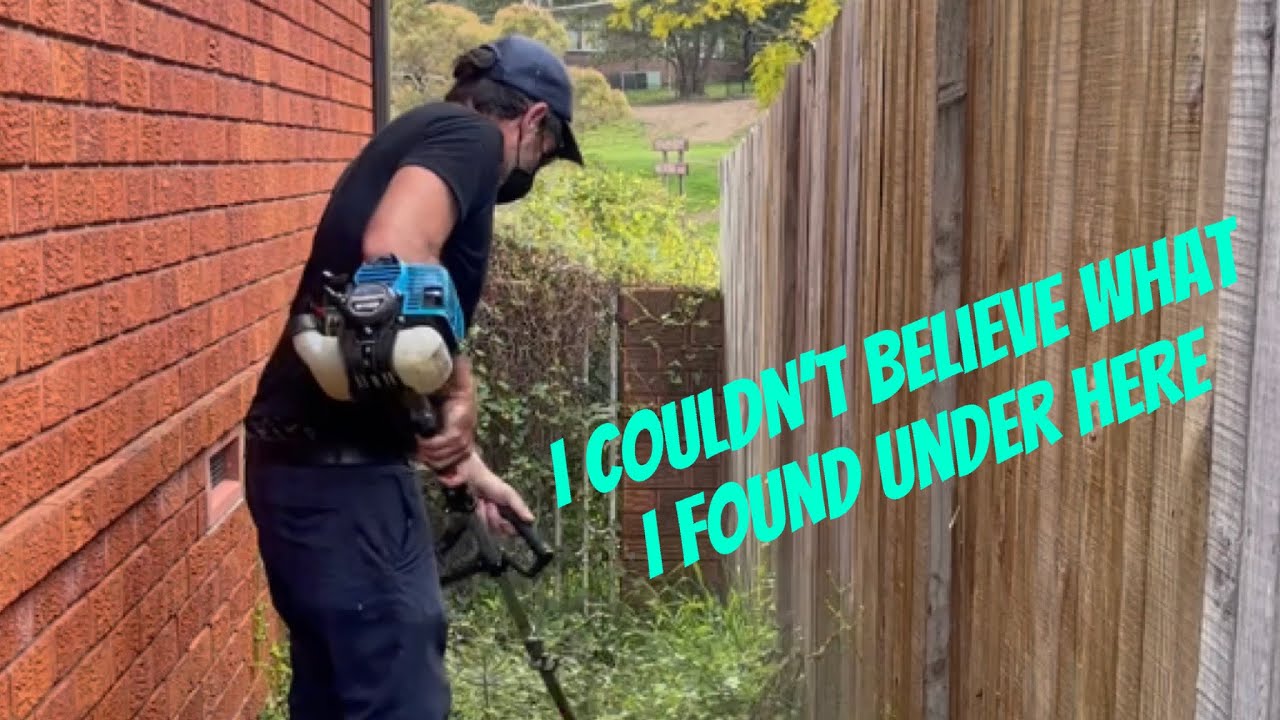 Overgrown mess Cleaned up.