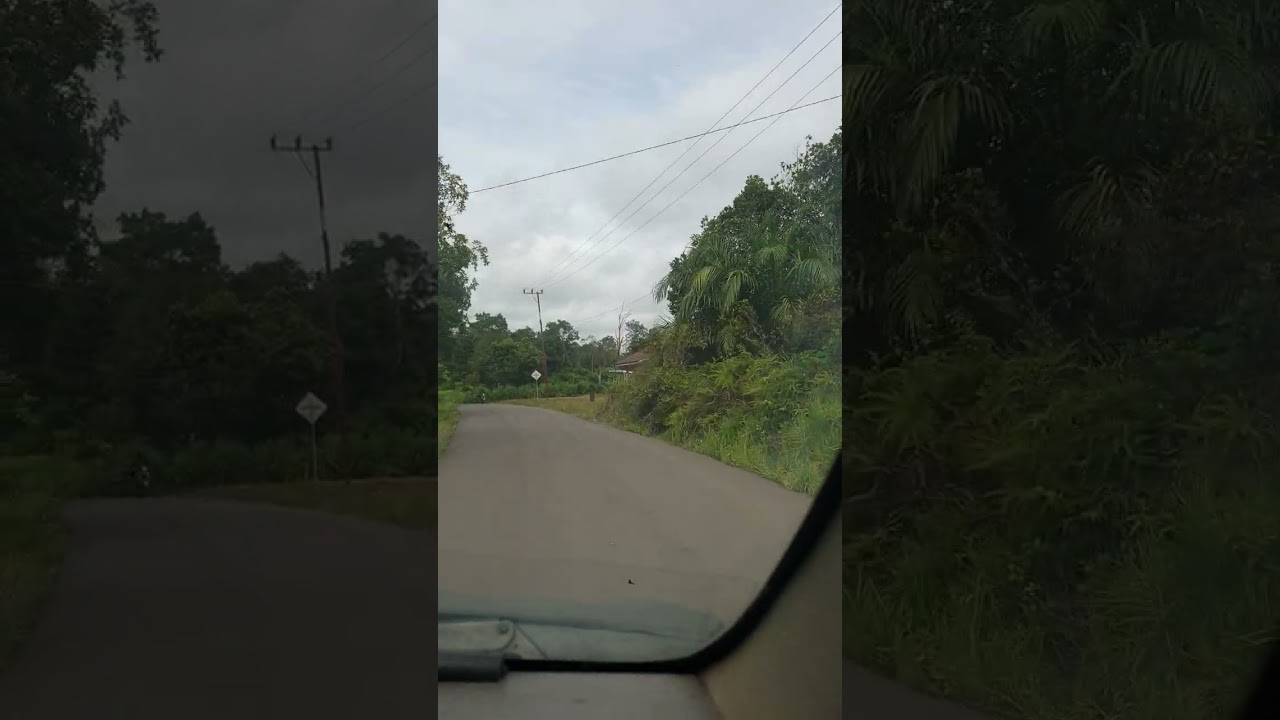 Perjalanan melewati #jalan #hutan #pedesaan menuju kecamatan pahu epat with #toyota #avanza 