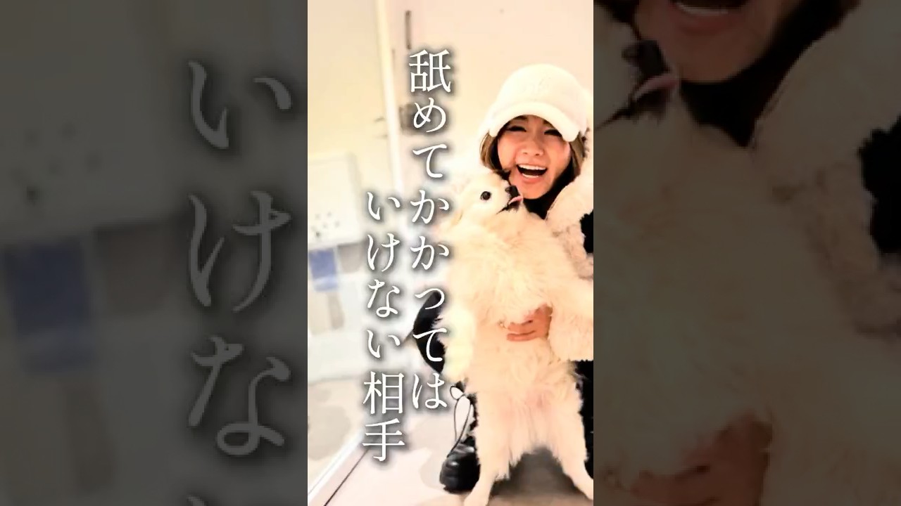 舐めてかかってはいけない相手【人間関係・マインドセット・考え方・コミュニケーション・自己啓発・人生・コーチング】ワタナベ薫 30秒講座