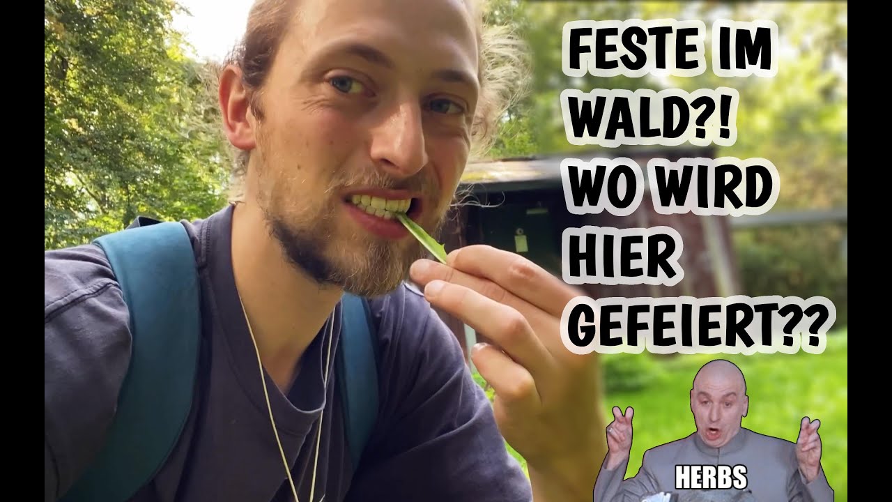 FESTE IM WALD?!?! Kräuterwanderung zur HERBST TAG-NACHT-GLEICHE