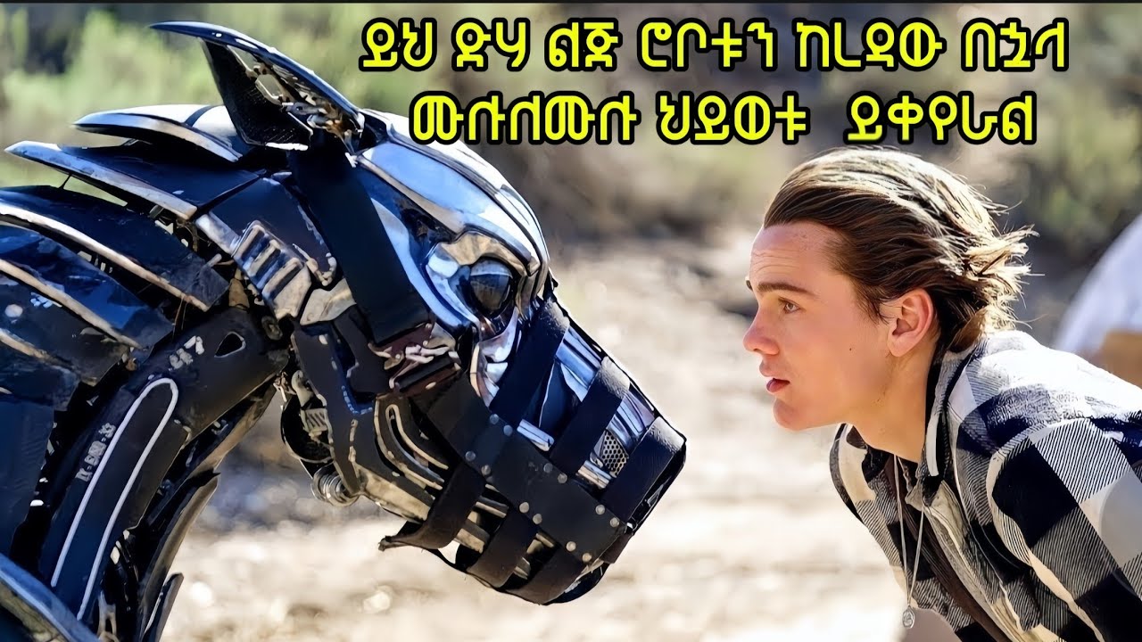 ይህ ድሃ ልጅ ሮቦቱን ከረዳው በኋላ  ሙሉለሙሉ ህይወቱ  ይቀየራል axl recap in amharic