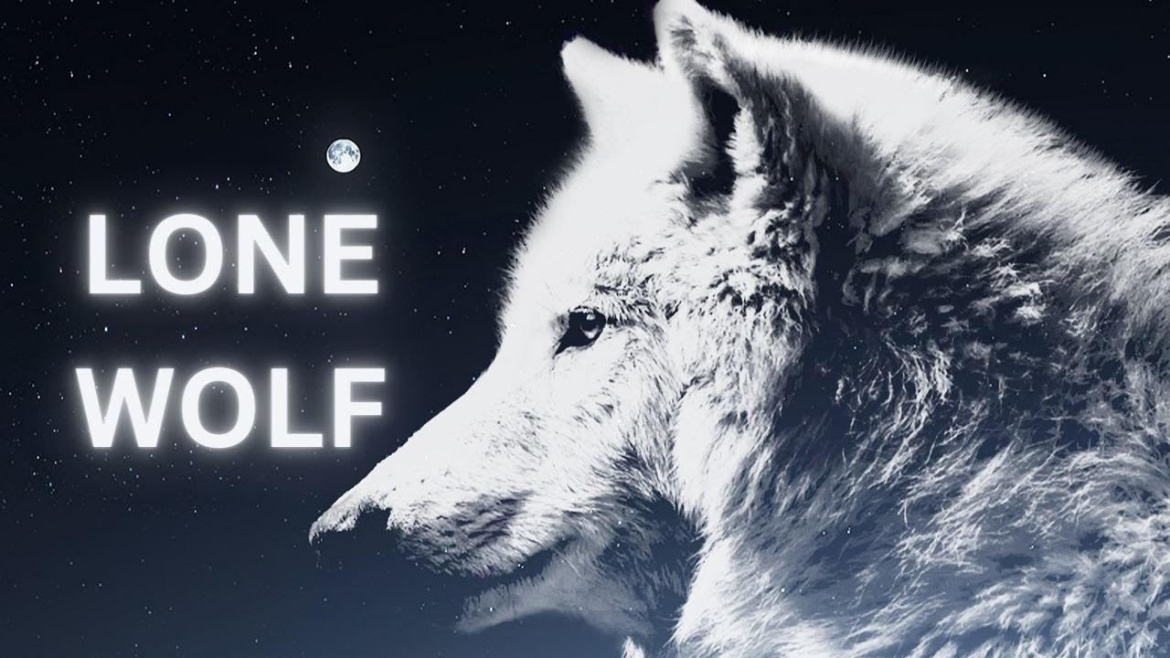 Lone Wolf | The Battle of Social Isolation