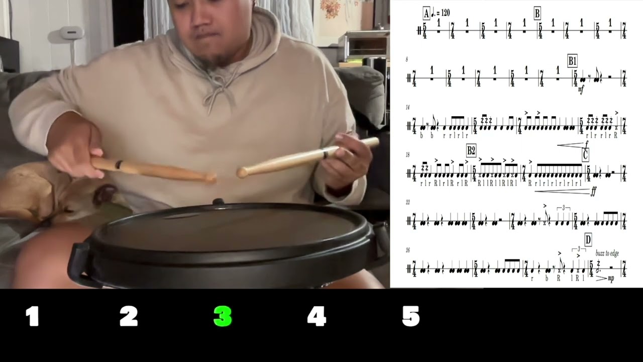 5.  Queen Gibdo (Snare Parts)