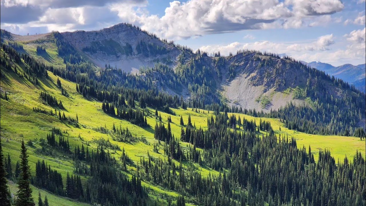 PCT Thru Hike - Hart's Pass to Canada Border and Back
