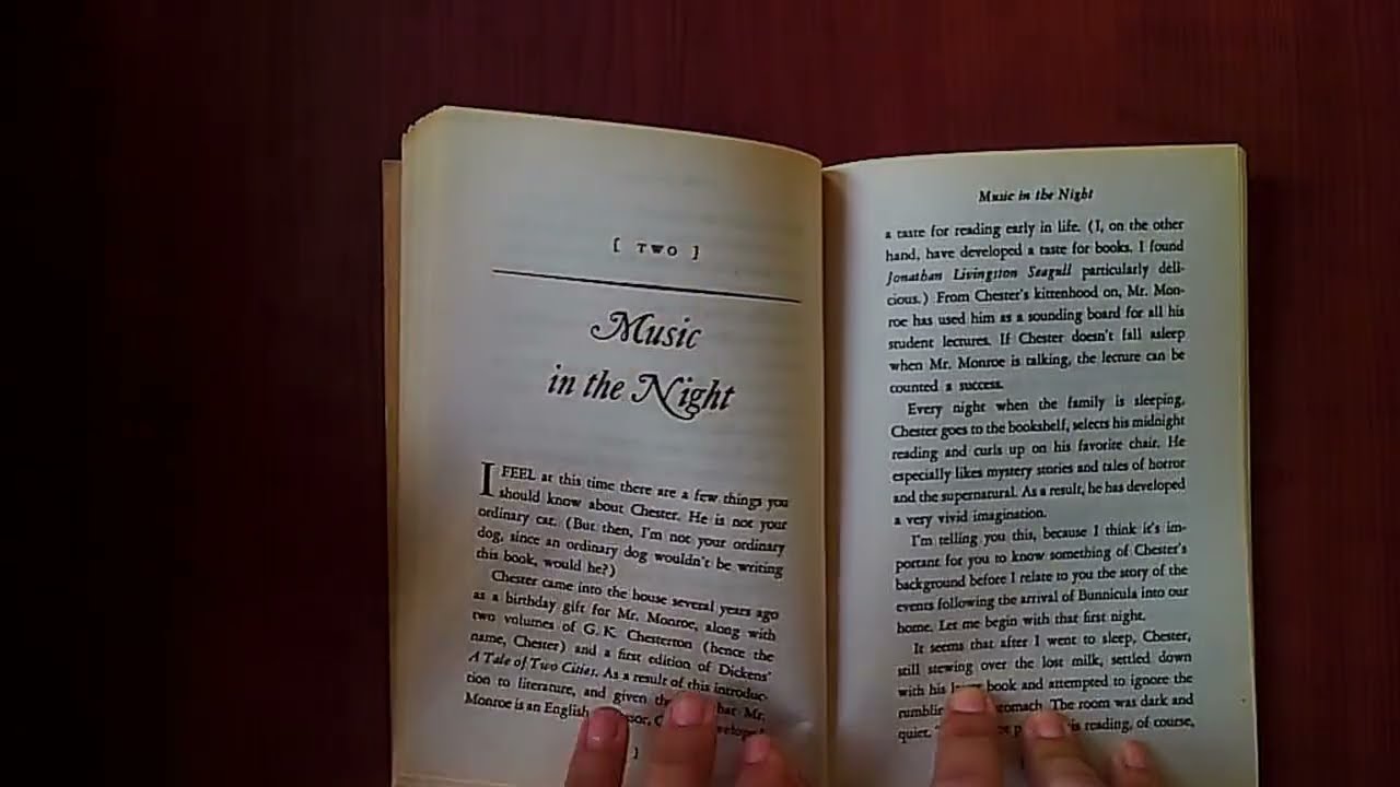 Bunnicula book 1 - A Fun Halloween Reading