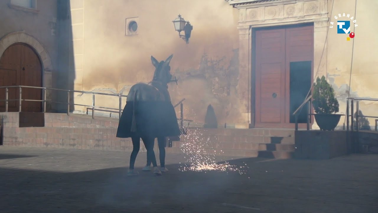 Festa del Most 2021 - Cercavila i Pujada del Ruc petit al campanar