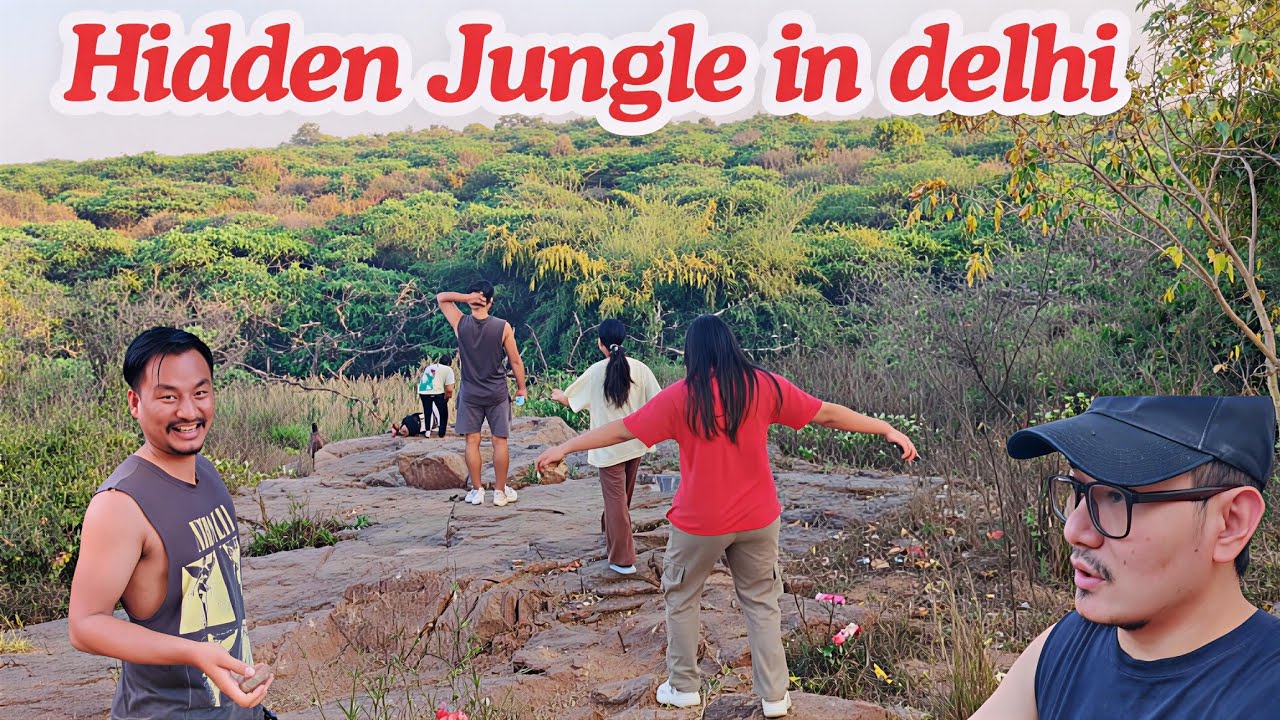  Hidden Jungle in Delhi 🌳 | Exploring a Secret Reserved Forest (Must Visit Place)