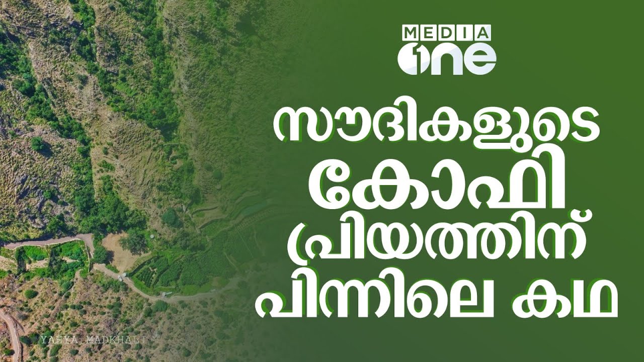 ലോകത്തിലെ ആദ്യ കാപ്പിത്തോട്ടം; സൗദികളുടെ കോഫി പ്രണയം | Wadi Al Ain Khawlani Coffee | Saudi Story