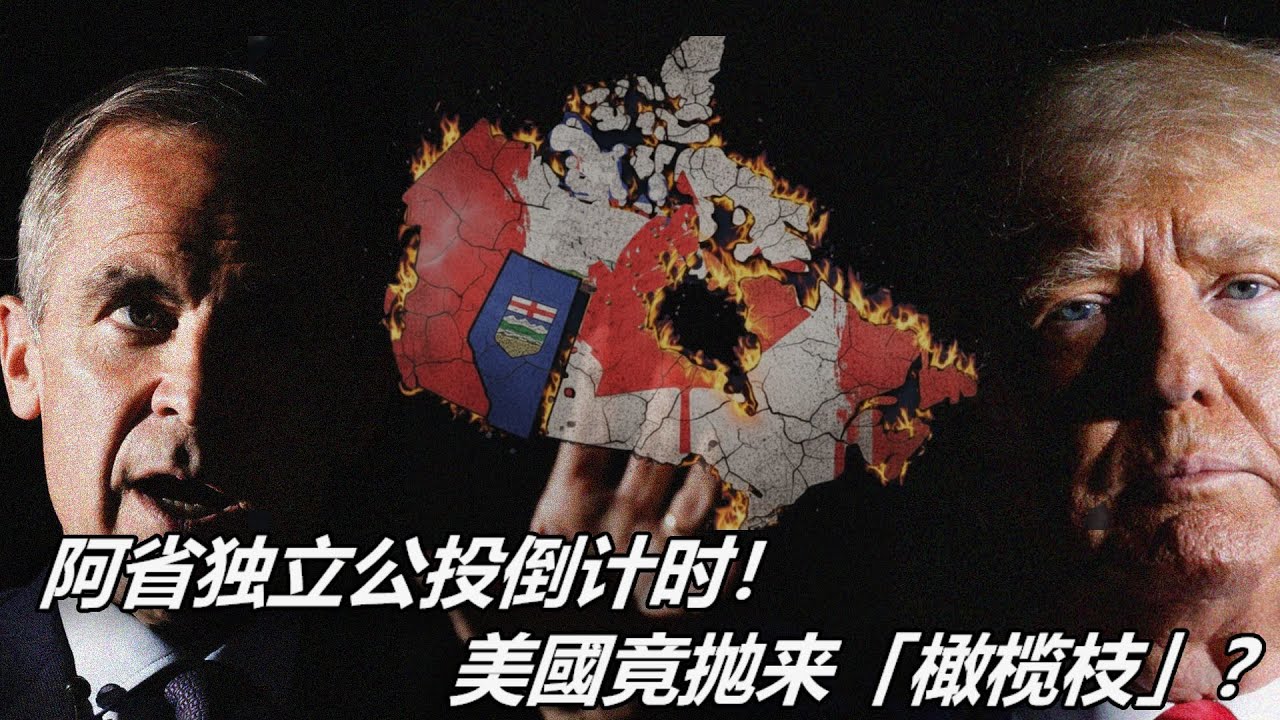 阿省獨立公投倒計時！川普高層竟公開拋來「橄欖枝」？阿省獨立到底是背叛還是自救？！#阿省獨立 #卡尼 #加拿大 #川普