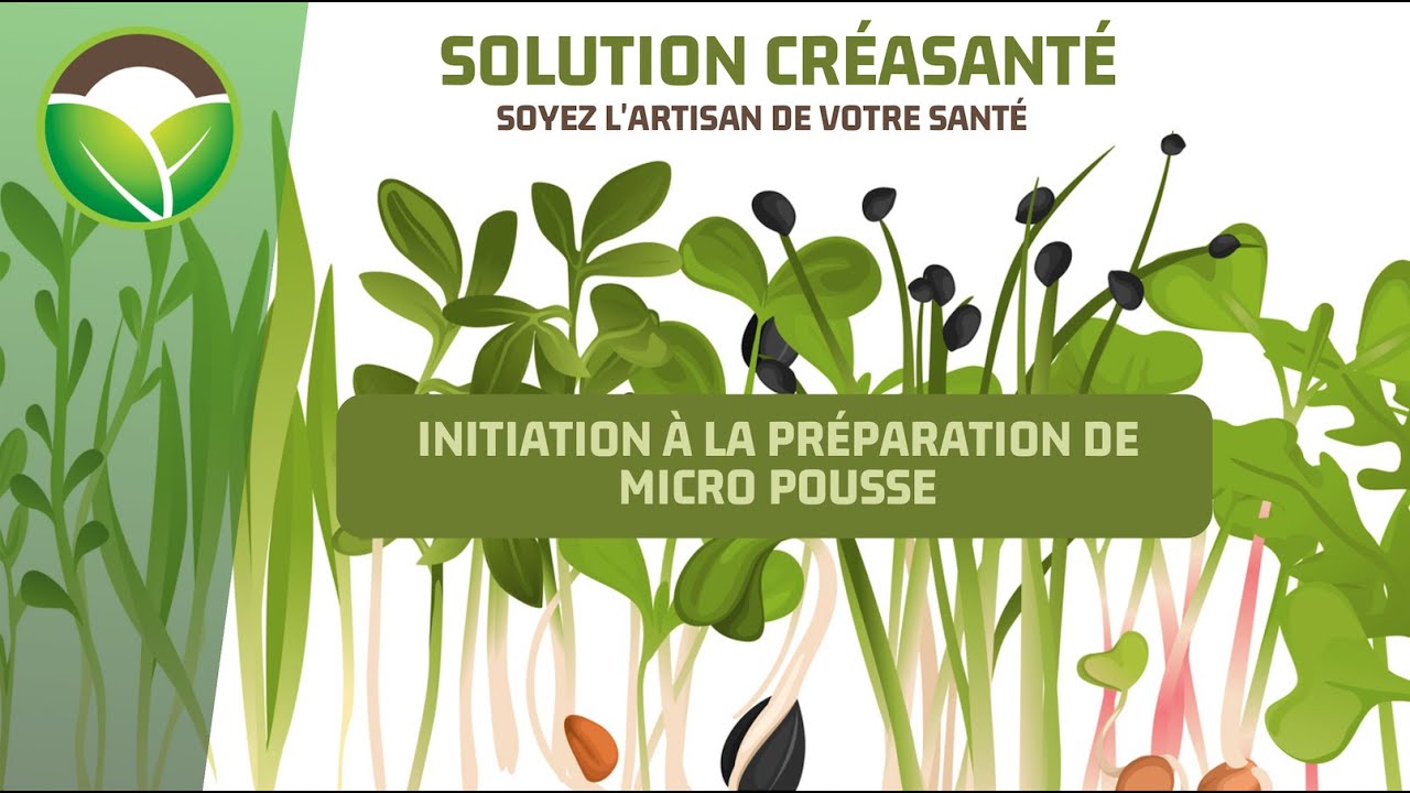 Initiation à la préparation de micro pousse