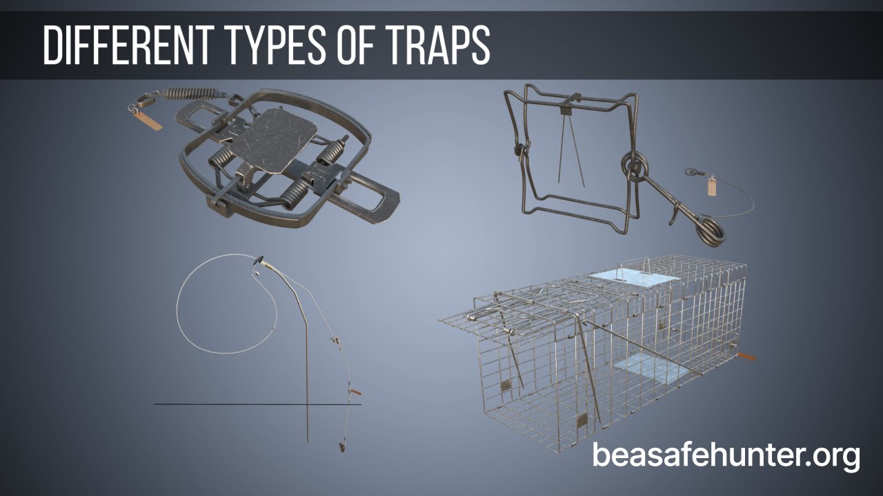 Different types of traps