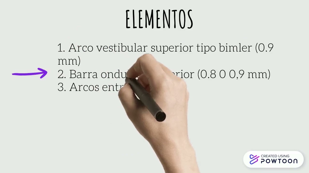 PROTOCOLO APARATOLOG&Iacute;A SIMOES NETWORK