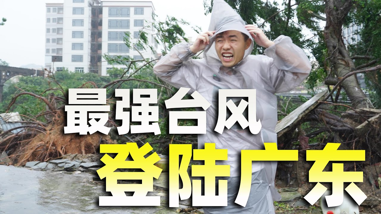 2025全球最强台风“桦加沙”袭击广东，粤西三兄弟如何应对？The strongest typhoon in the world in 2025