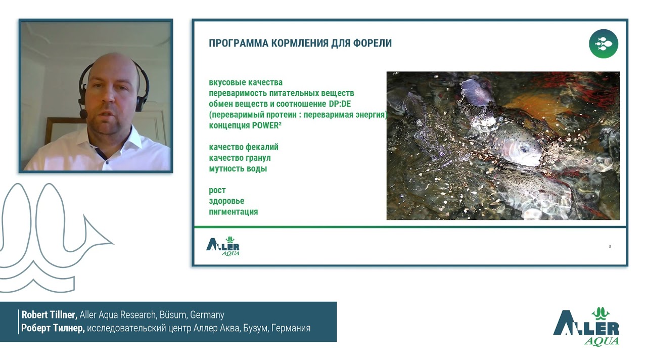 Aller Aqua - Применение современных кормов для форели