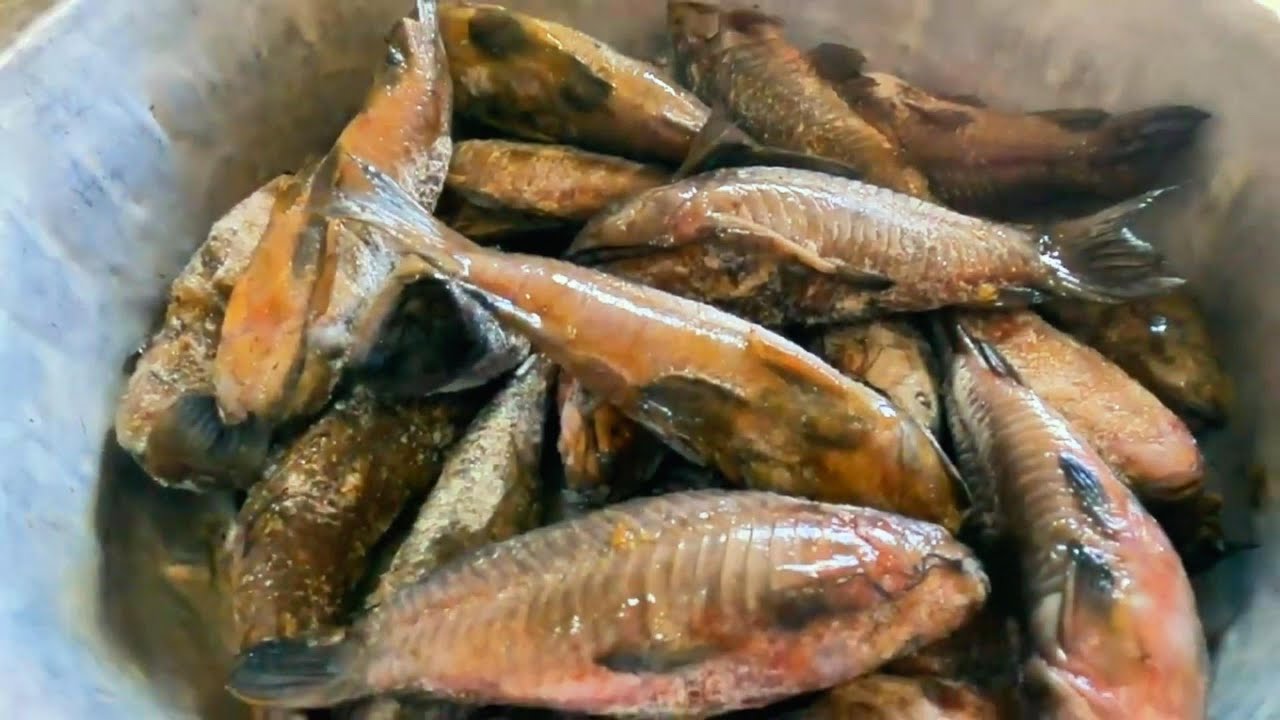Exploring the Vibrant Markets of Suriname