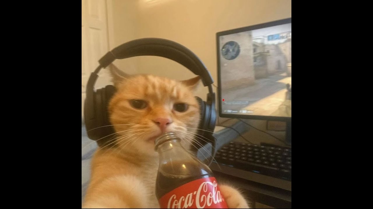 plis doakan tidak crash lagi (DAY 999+) #executiverp