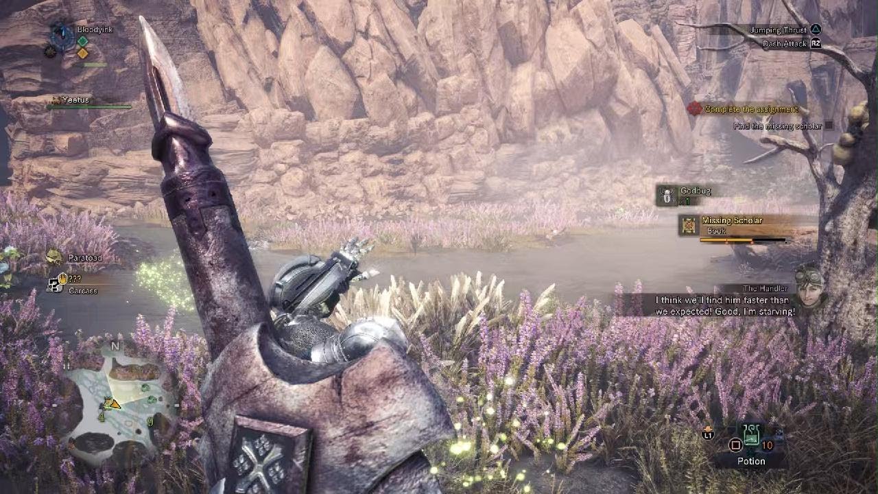 MHW:I but I use a different weapon each quest: Lance