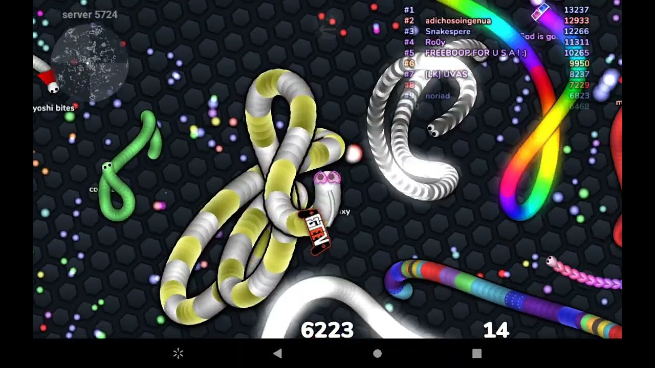 Getting On The Leaderboard In Slither.io (In A Bad Mood)