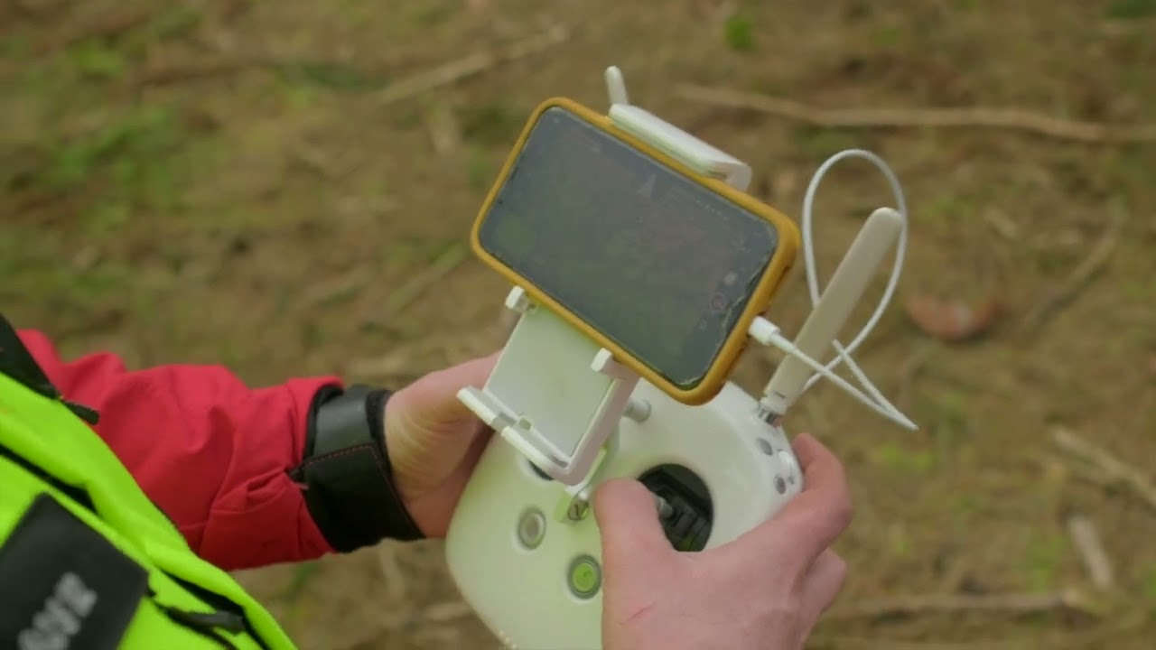 Clear Timber Analytics - Bark Beetle Case video