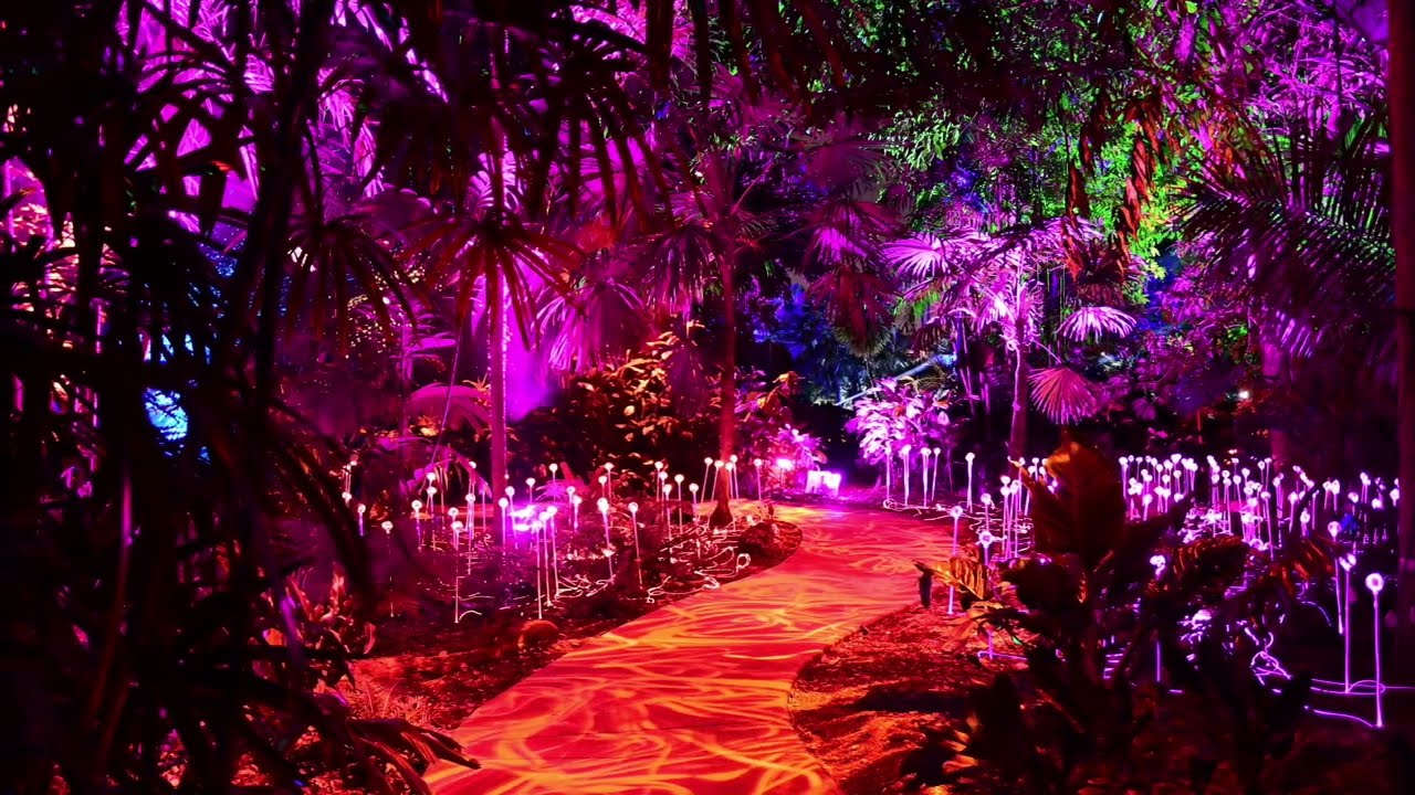 MIAMI  - Night Gardens - light show - music - romantic - extravaganza
