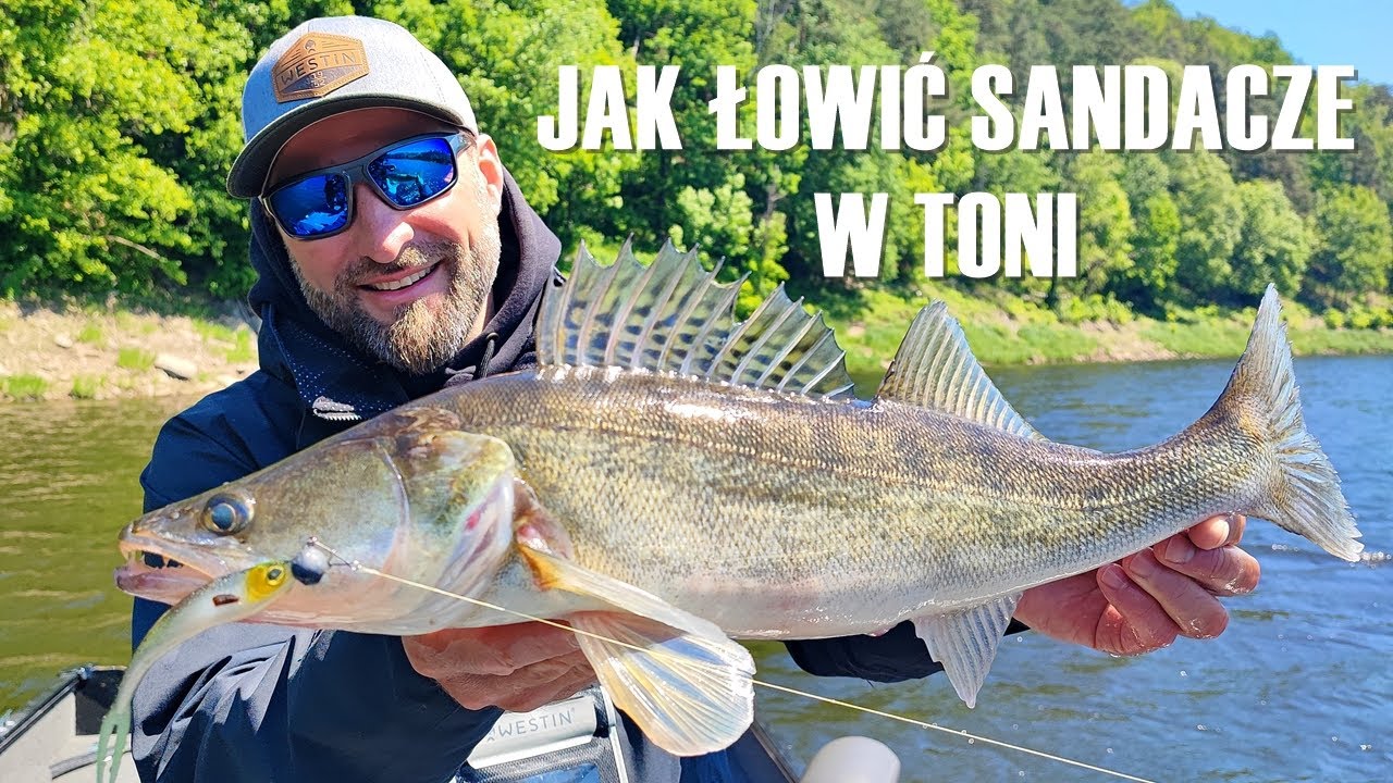 Jak łowić sandacze w toni - TwinTeez I PlatyPus I Rozpoczęcie sezonu sandaczowego