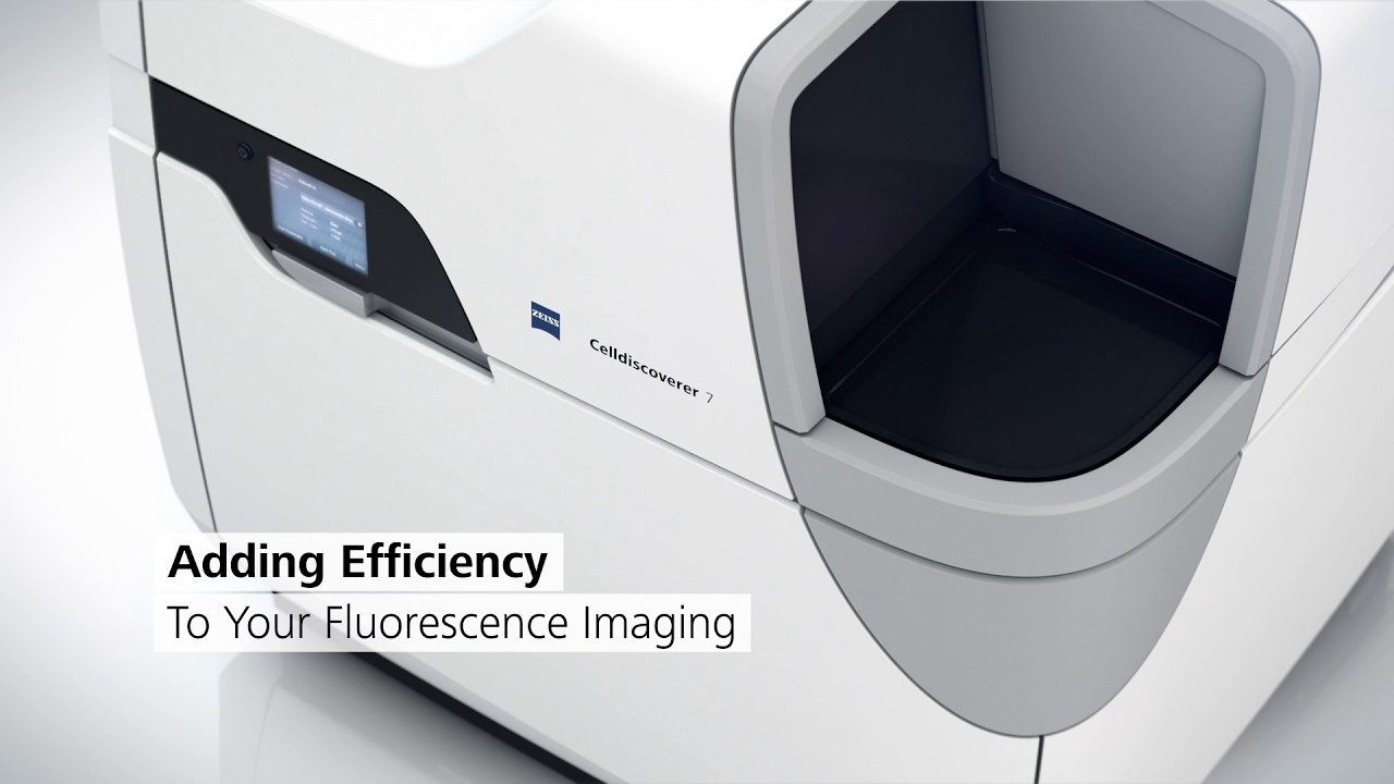 ZEISS Celldiscoverer 7: Your automated platform for live cell imaging