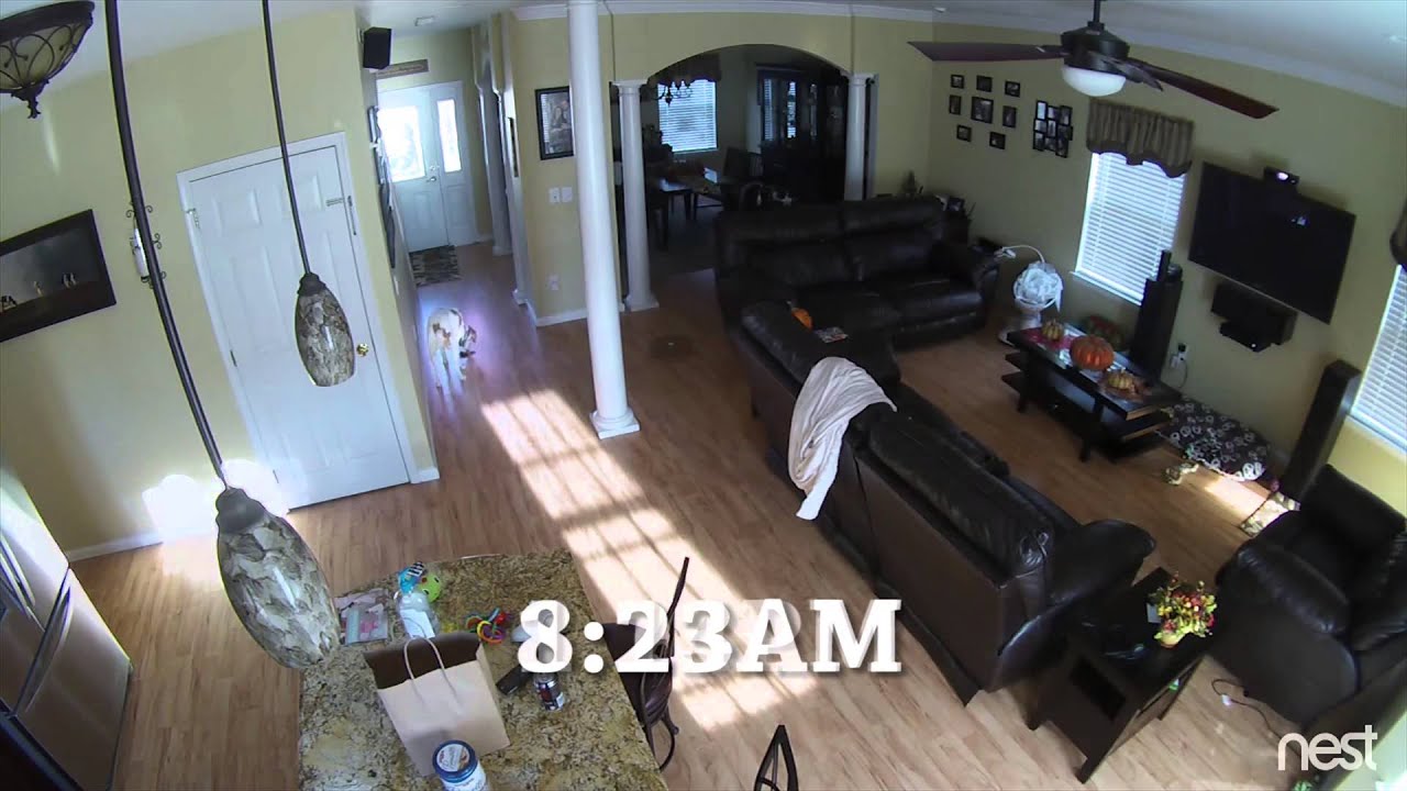 Roomba Spreads Dog Poop