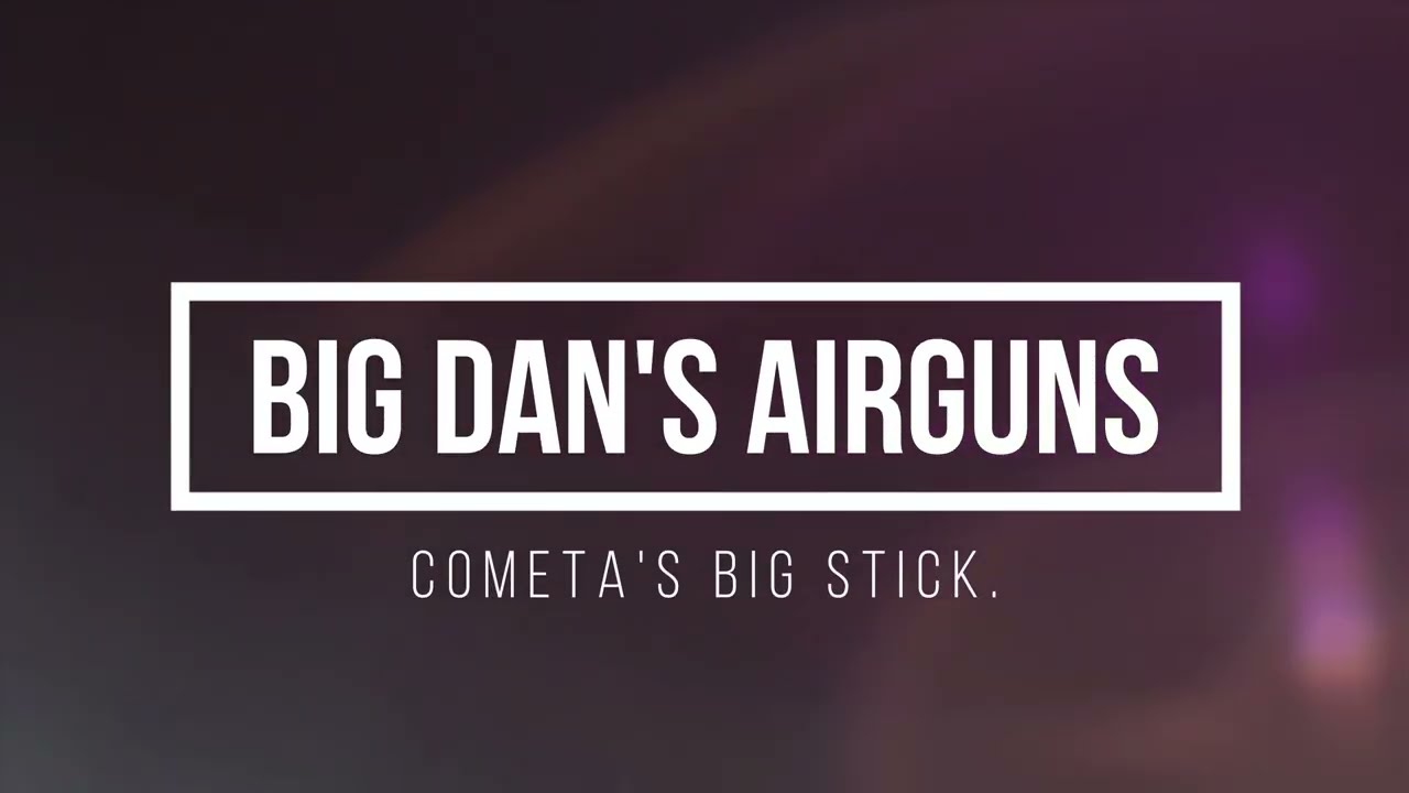 Обзор Cometa Lynx Laminate SPR .177 - пневматическое оружие Big Dan's.