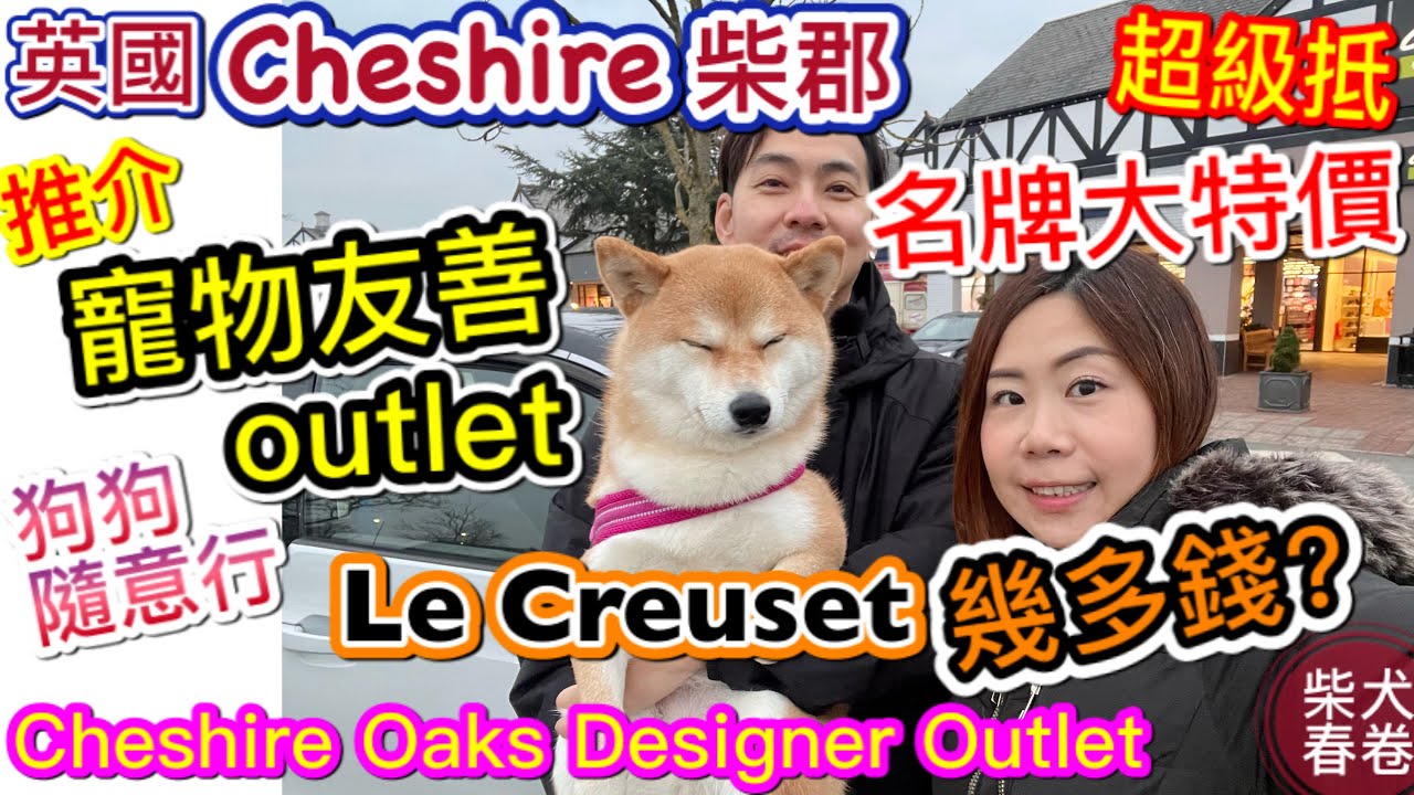 春卷去旅行Chester｜寵物天堂｜Cheshire Oaks Designer Outlet｜柴犬春卷移民英國曼城｜寵物移民｜Shiba Inu Manchester｜【廣東話】UK GB