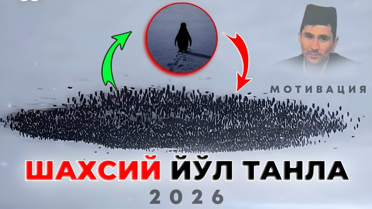 Мотивация! 🐧 Шахсий йўлингда юр! |Абдуллох Домла |Abdulloh Domla #abdullohdomla #pingvin #trend #rek