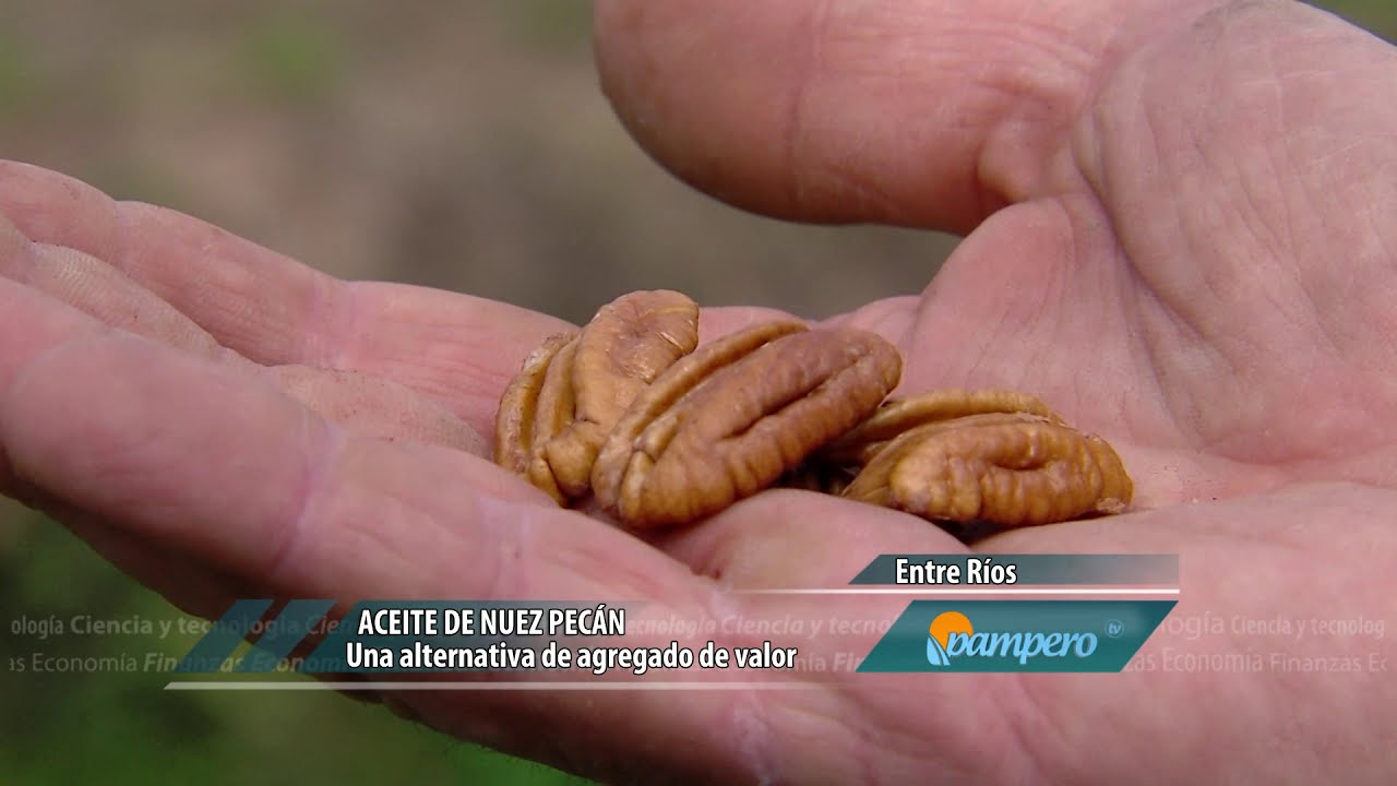 Aceite de nuez pecán