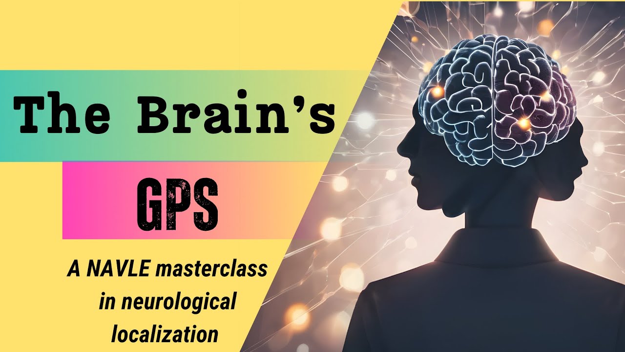 Brain Maps That Save Lives: Mastering Neurological Localization in dogs and cats for NAVLE Success
