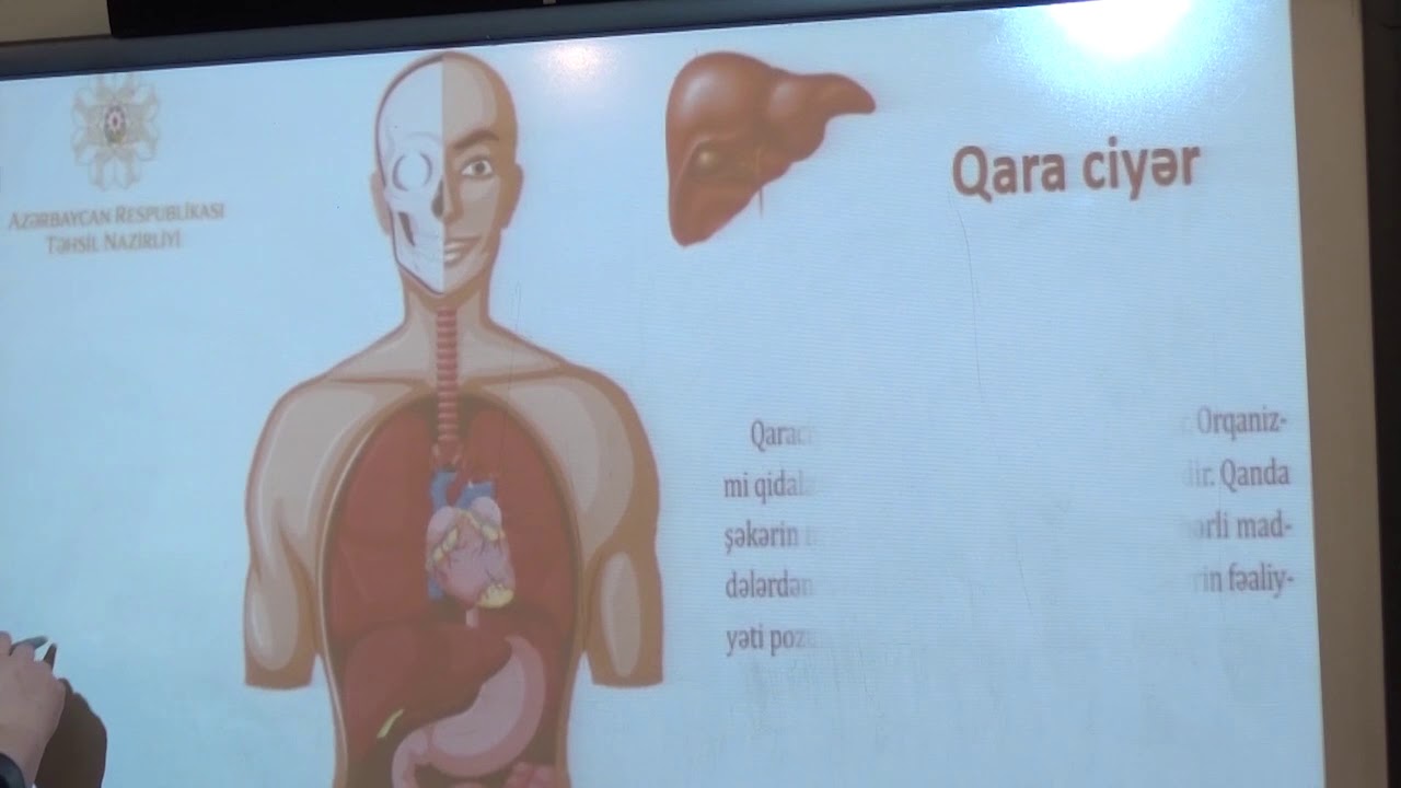 Həyat bilgisi (Orqanlar)