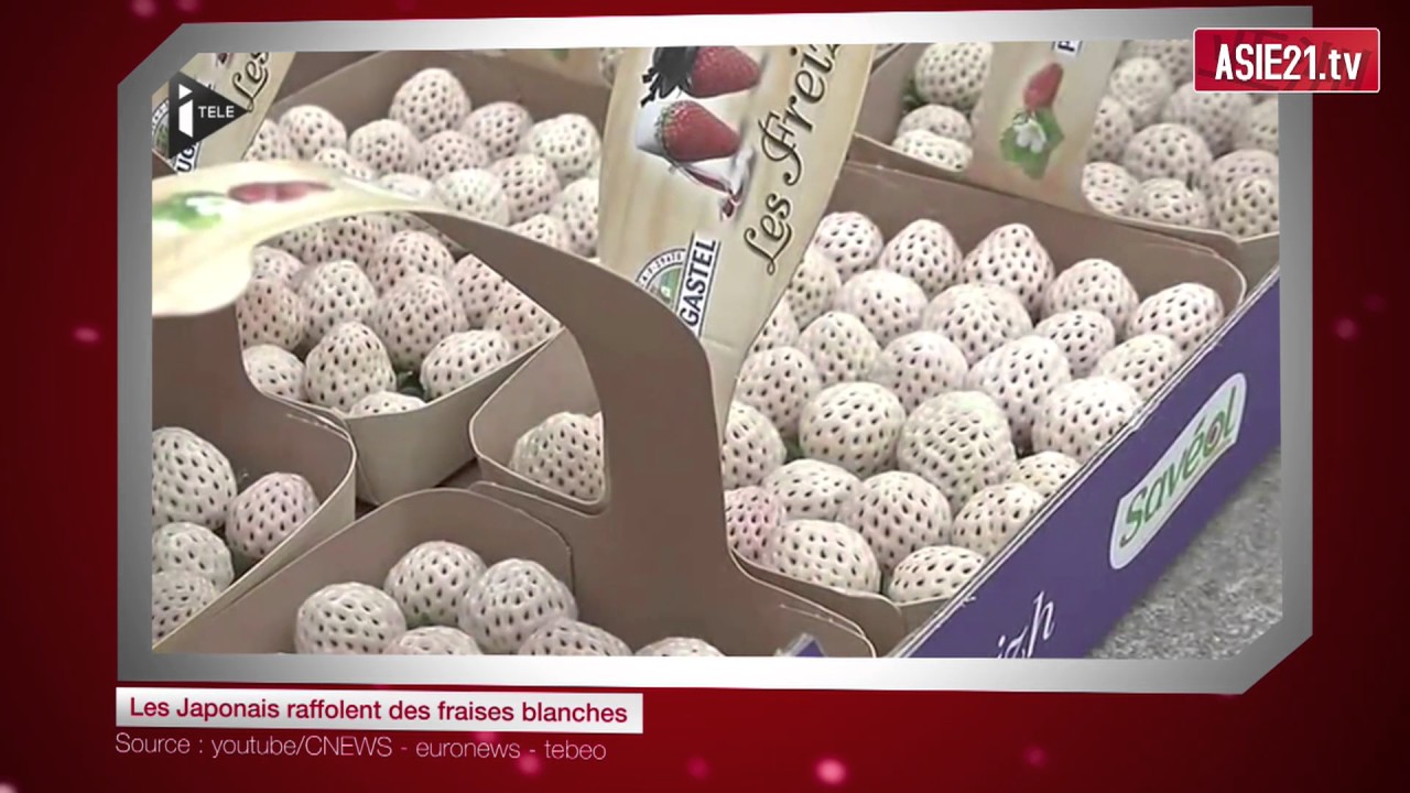 Les Japonais raffolent des fraises blanches