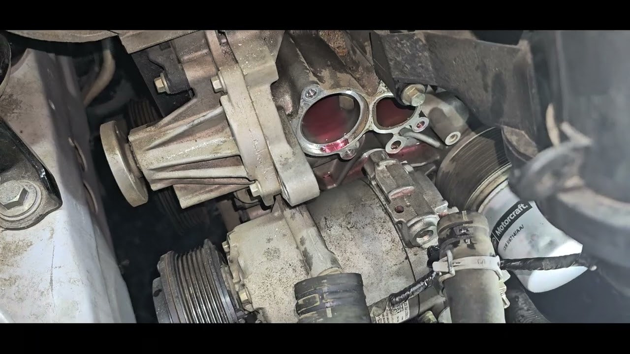 O melhor passo a passo correia dentada Ford New Fiesta Sigma