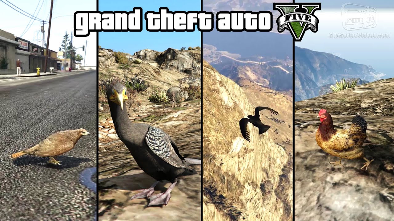 GTA 5 - Play as a Bird (Chicken, Seagull, Hawk, Crow & more) [PS4 & Xbox One]