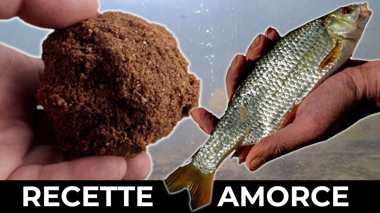 ПОД ВОДОЙ &mdash; Рецепт домашней прикормки для крупной плотвы &mdash; Netpeche Foundation