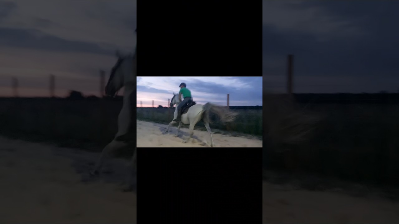 Ale dzida🐎