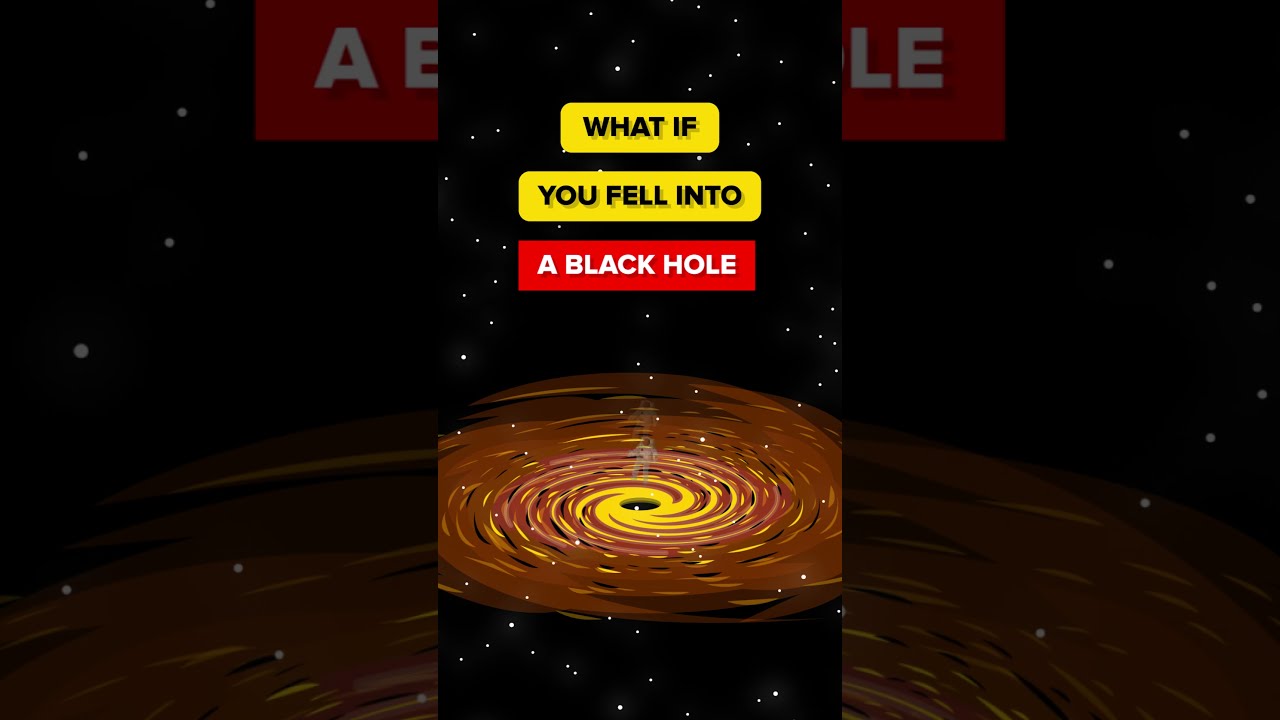 What If You Fell Into a Black Hole