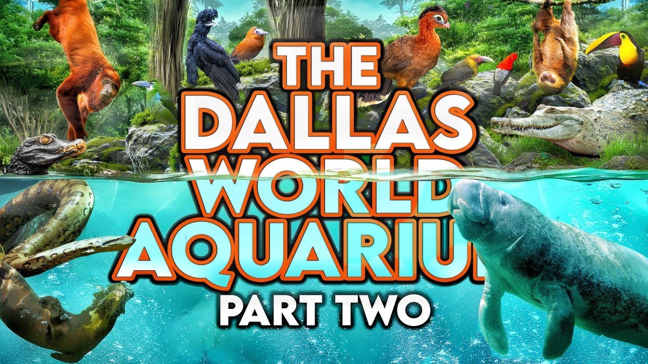 Zoo Tours: The Dallas World Aquarium | PART TWO