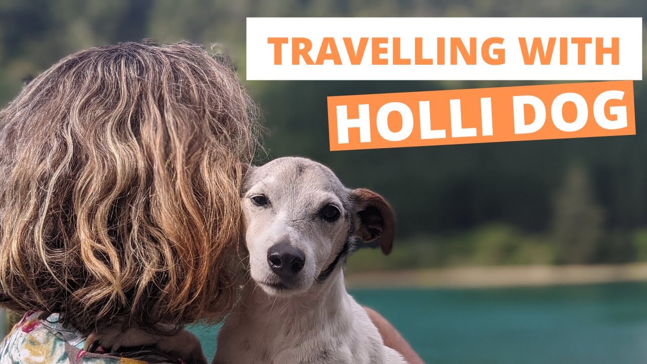 Full time on the road With Holli Dog