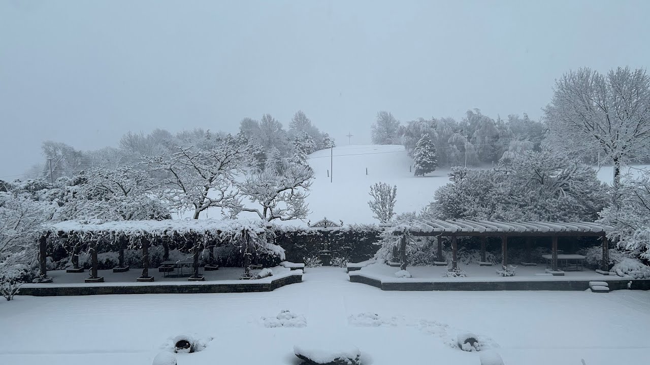 🔴LIVE HOLY MASS WITH GREGORIAN CHANT: Saint Ansgar, bishop | 02-03-2026