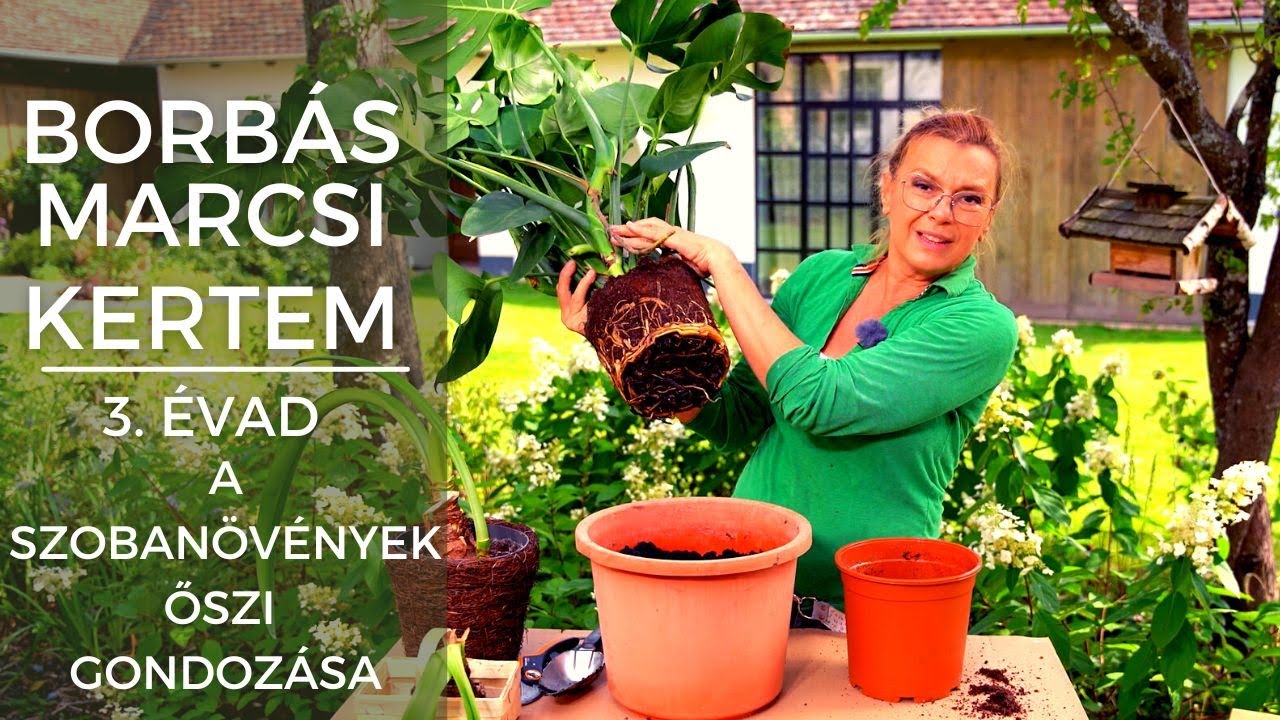 Borbás Marcsi - Kertem: A szobanövények őszi gondozása