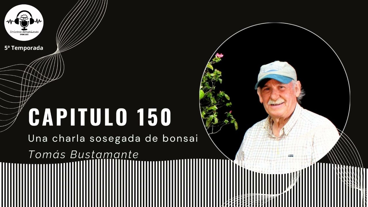Capítulo 150.- Una charla sosegada de bonsai. Tomás Bustamante