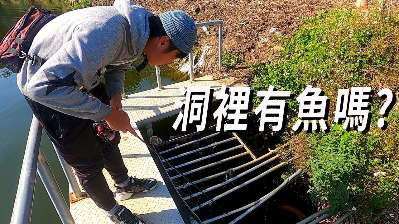 台灣特有種夢幻魚 原來都藏在這裡 ​​尋找水溝之王  斑鱧 烏鱧 一八八台雷 FT @omega55 @beliefrunner1524 【漁樂爽報】EP101 #桃園釣點 #路亞 #钓鱼