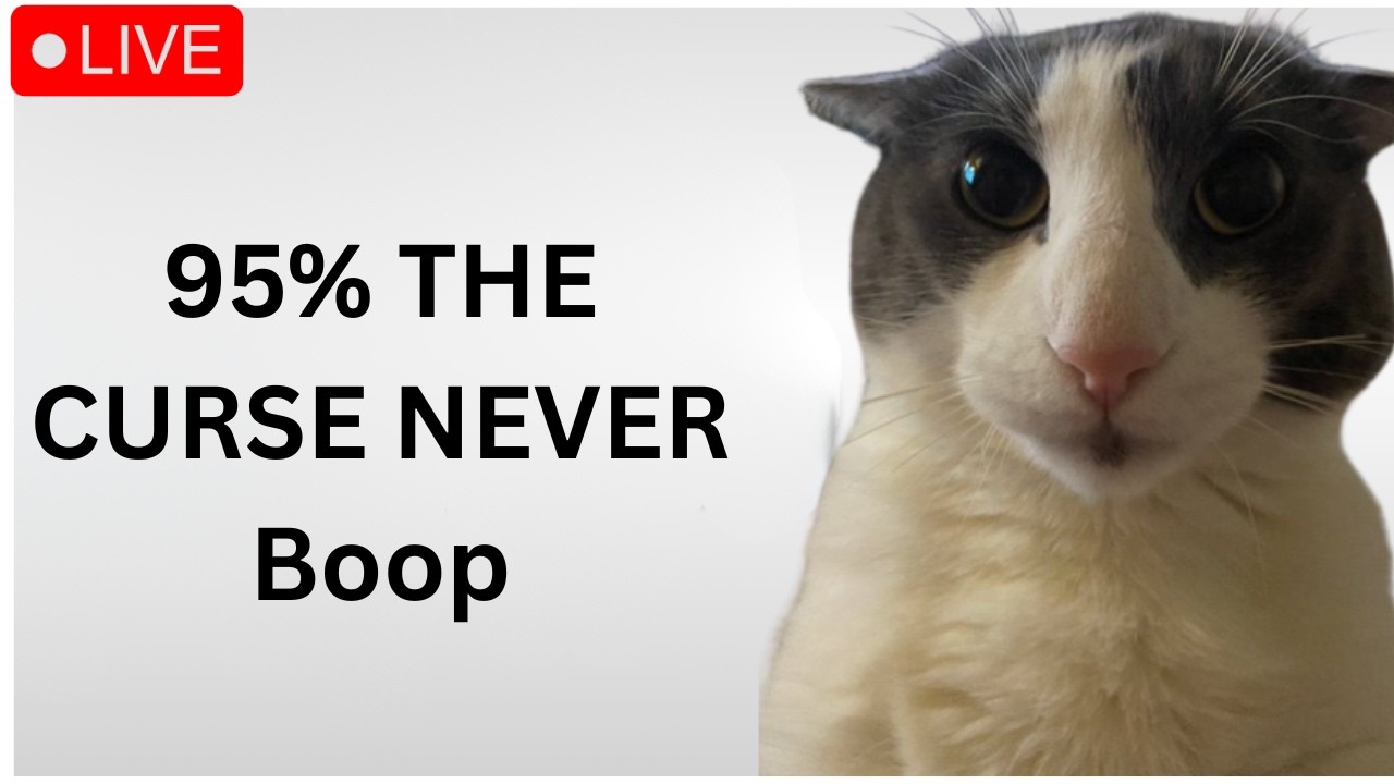 🔴BEATING TODAY🔴THE BLOOP 95%, 83X3🔴