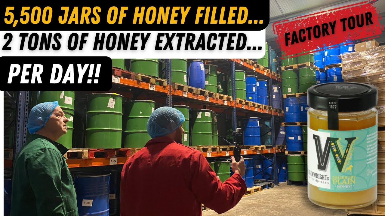 Big Honey Factory Tour With David Wainwright. Wainwrights Bee Farm